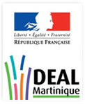 logo-deal-martinique